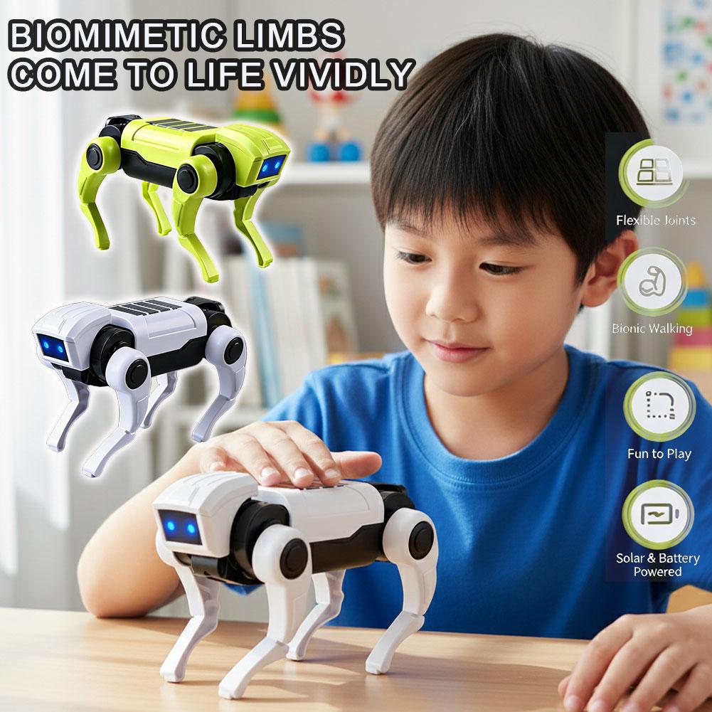 Science Diy Model - DIY ประกอบ RC หุ่นยนต์สุนัขของเล่นรีโมทคอนโทรลชุดหุ่นยนต์กลไกการสอนวิทยาศาสตร์ชุดไฟฟ้าของขวัญสำหรับเด็ก