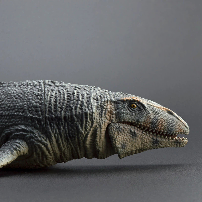 ของเล่นจำลองโปรนาโทดอน โมซาซอร - Science Toy บทวิจารณ์และราคา
