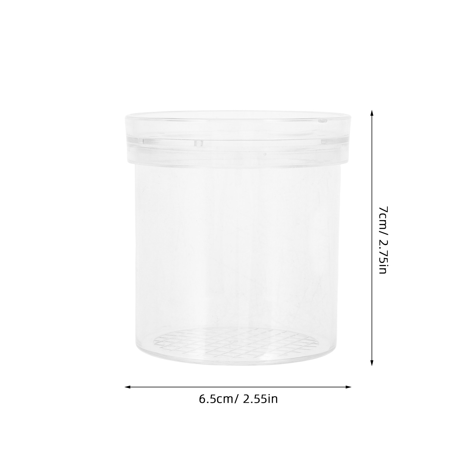 กล่องสังเกตแมลงขยาย 3 เท่า สำห - Science Toy บทวิจารณ์และราคา